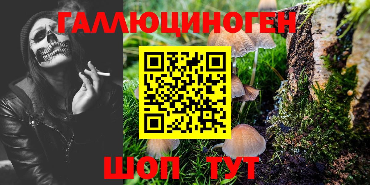 Галлюциногенные грибы Cubensis Смоленск