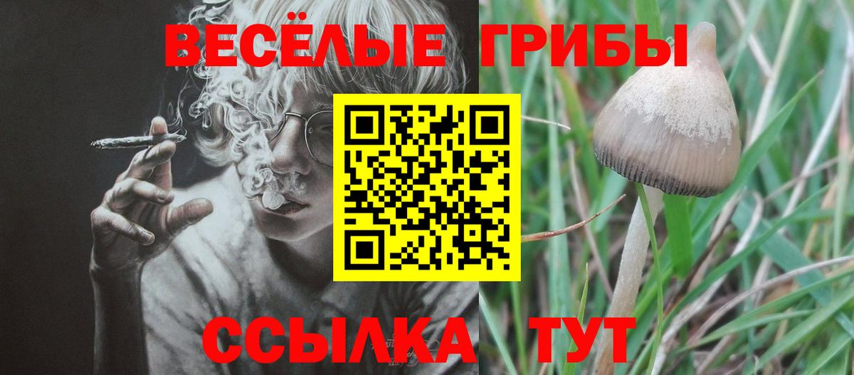 Смоленск  Галлюциногенные грибы MAGIC MUSHROOMS  Вход с VPN 